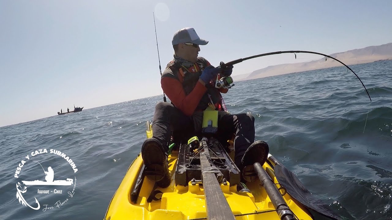 Pesca en kayak de monos xl en Chanavayita Iquique... YouTube