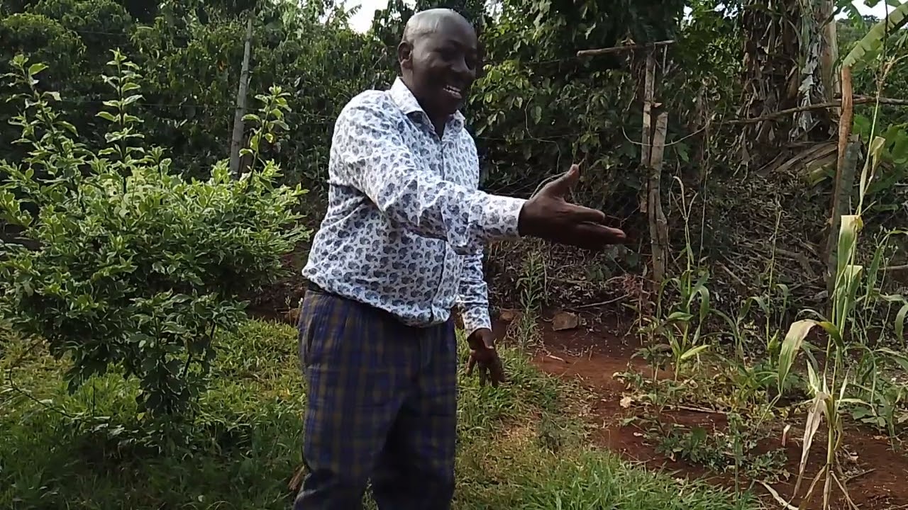 Latest Kikuyu Gospel Song : Gĩkuũ kĩa Elisha