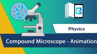 Working of Compound Microscope - Animation