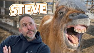Fluffy Feather Farm Adventures: Behind the Barn Doors & A Walk with Steve (Episode 5)