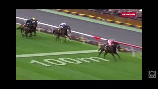 Black Caviar The best sprinting horse in the world. Unbeaten all 25 wins including at Royal Ascot