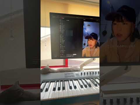 あっすん毎日日記ラップの猫リアクション動画