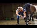 🐴Hoof Cleaning  HOOF TRIMMING Horse farm🐴Incredible Horse Hoof Restoration