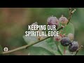 Keeping our spiritual edge  audio reading  our daily bread devotional  may 22 2024