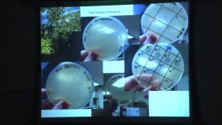 Northern Nevada Phage Hunters