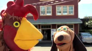 Russell The Rooster On OC 16