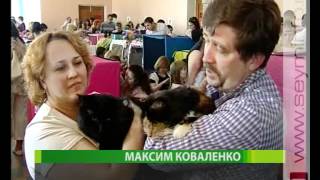 На подиуме - кошки На подиуме - кошки