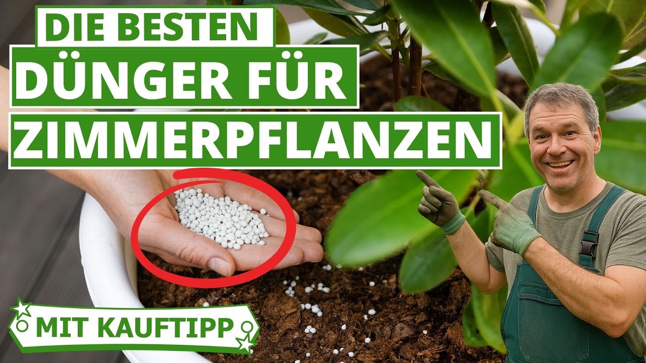 Bester Dnger fr Zimmerpflanzen - 5 Fehler beim Kauf