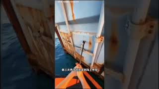 They Opened an Abandoned Shipping Container... What Was Inside Shocked Everyone! 😱🚢