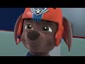 Paw Patrol Zuma 17
