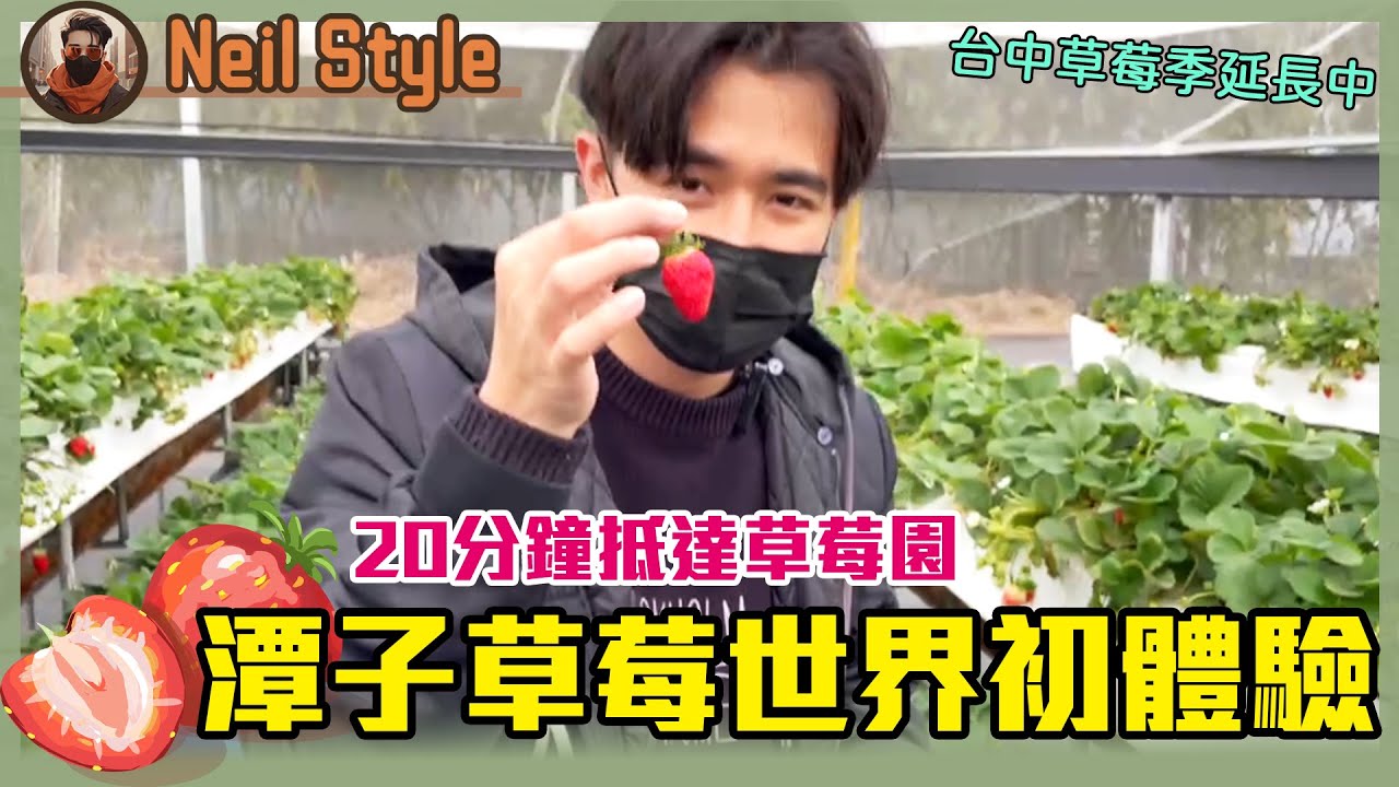 【草莓季延長中】台中潭子草莓世界實測！最方便的近郊採草莓體驗｜Neil Style 旅行隨拍