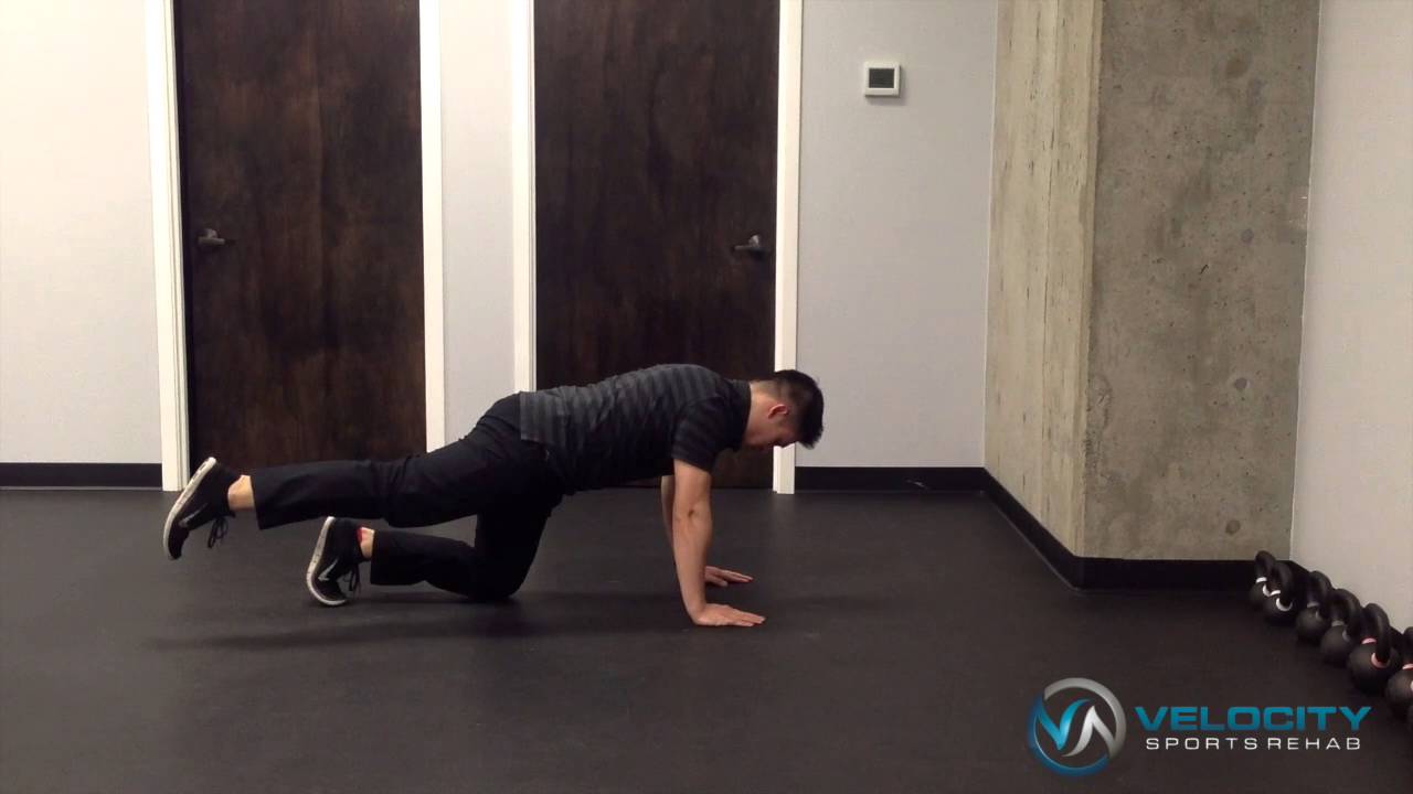 Bird Dog Progression YouTube