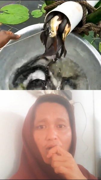 Awalnya 1 Kok Jadi Banyak Banget⁉️😱