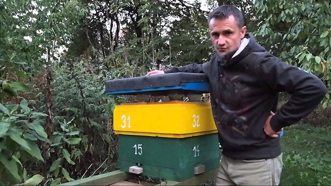 Uliki Weselne - Pasieka KRASNOWO