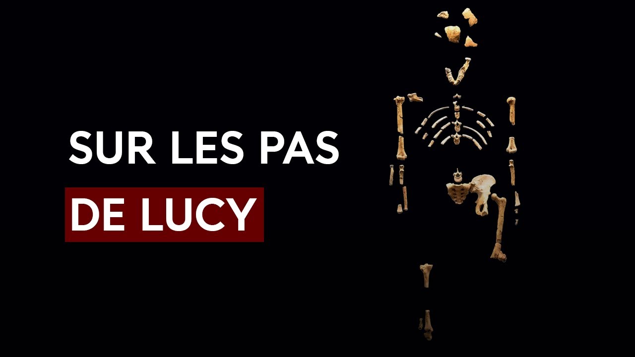 Sur les pas de Lucy | Une série de conférence sur Lucy l'Australopithèque 2/5