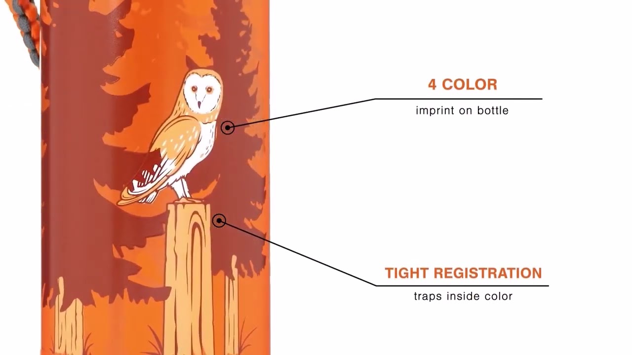 Pine Bottle Decoration