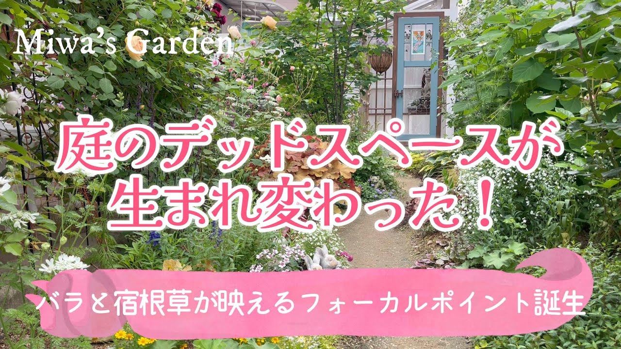 【ガーデニング＊庭づくりdiy】庭のデッドスペースが『フォーカルポイント』へ劇的に生まれ変わった！ガーデンDIY＊宿根草とバラが映えるナチュラルガーデン