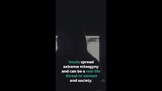 The Incelosphere Explained