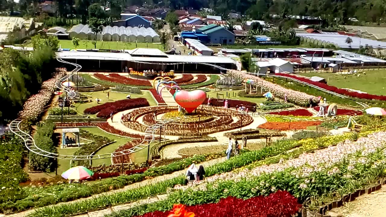  Taman bunga kutabawa  purbalingga YouTube