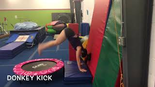 B180 Vault - Front Handspring Over Table Progressions