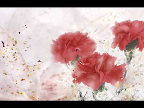 Mihemed Shexo Nesrin Lyrics