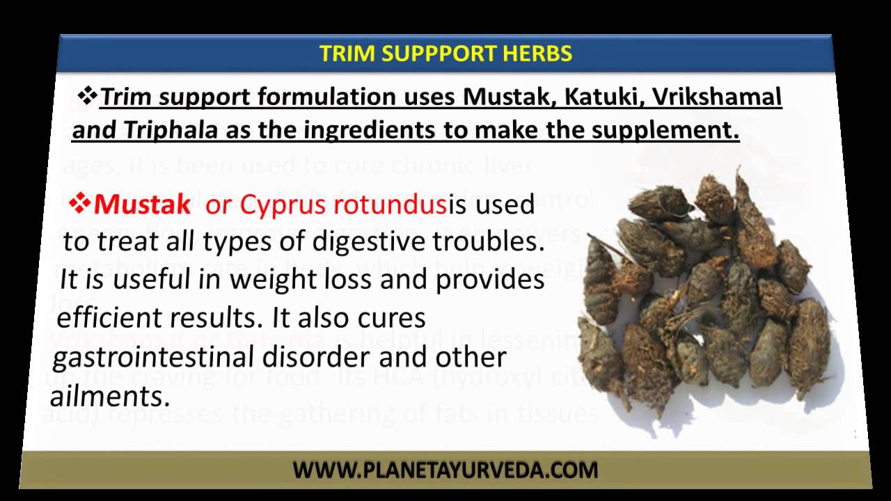 herbal weight loss products review How Can You Reduce Obesity (Overweight) Fast?