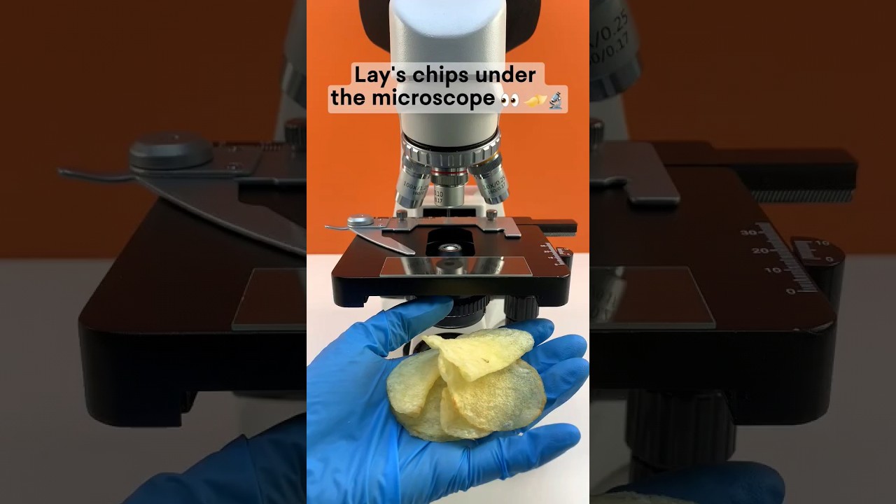 lays chips under the microscope 🔬👈 #shortvideo #microscope #microscopeworld #microscopics