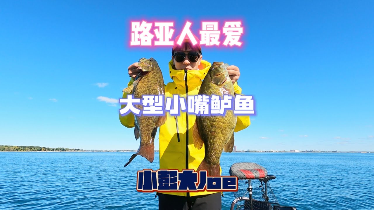 水坝钓小嘴鲈鱼/Catching a giant smallmouth below a dam 