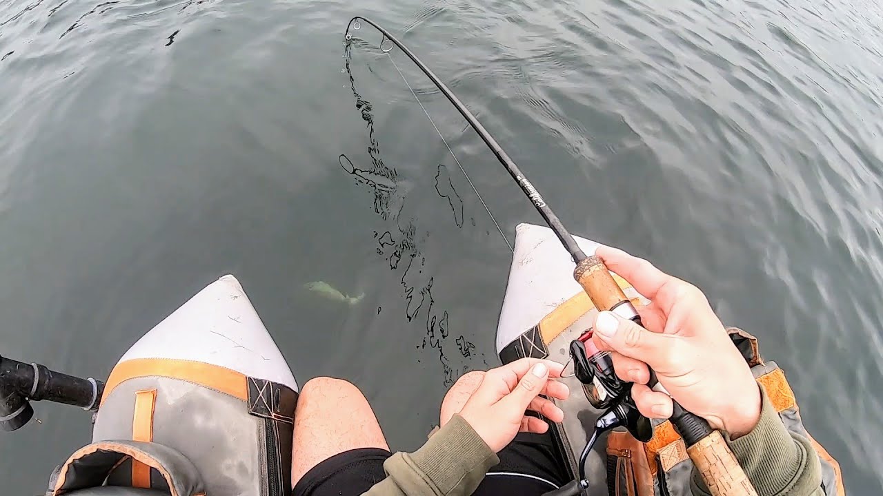 Epic Top Water Eats(Summer Bass Fishing)