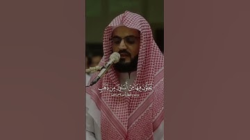 أُولَئِكَ لَهُمْ جَنَّاتُ عَدْنٍ تَجْرِي مِنْ تَحْتِهِمُ الْأَنْهَارُ - القارئ رعد الكردي