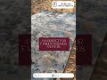 Luxurious Rug Collections &amp; Custom Creations By Ramsha Carpets