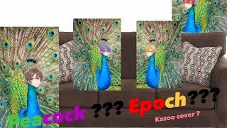 Peacock Epoch kazoo Cover