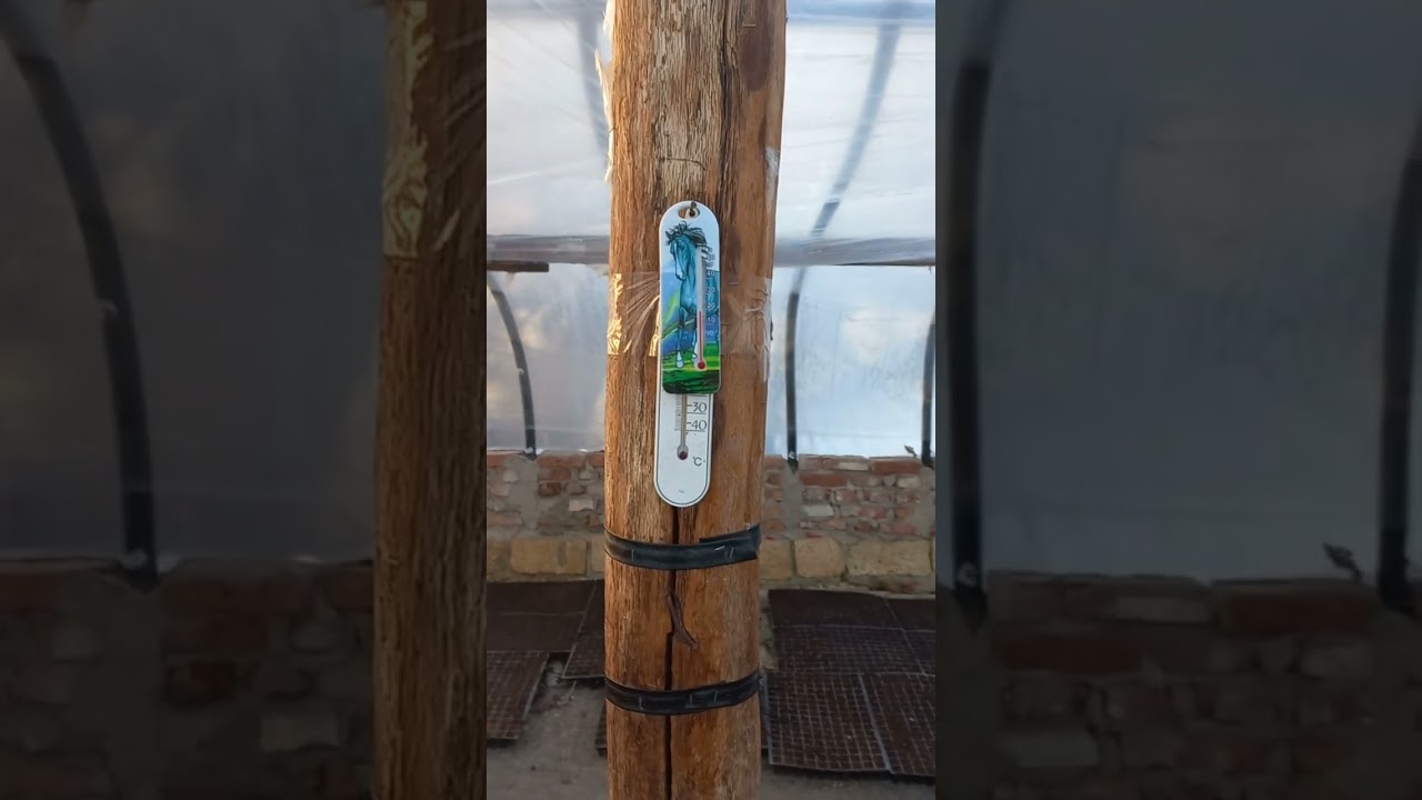 ВІДЕО #268. ПОЧАТОК СЬОМОГО СЕЗОНУ. ЩО Я ПОСІЯВ І ЩО ПЛАНУЮ ВИРОЩУВАТИ.