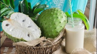 How To ACTUALLY Know When A Soursop Is RIPE!!!! 😛😛😛
