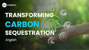 Transforming Carbon Sequestration  | E5 | CropBioLife India
