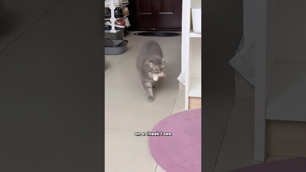 Girl like Bright 😉