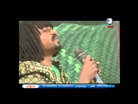 محمد حسن الماحي حاوي نوادر