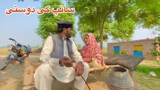 Saanp Ke Dostinew Panjabi Culture Dramaahmad Sher Official Teamnew2025