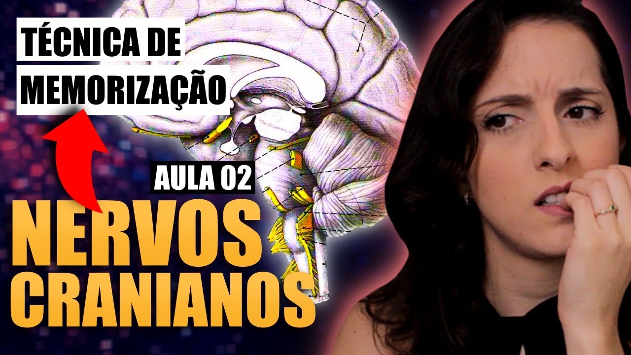 Anatomia dos Nervos Cranianos (aula 2/2): MEMORIZE Assistindo UMA VEZ!