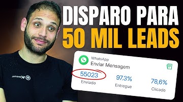 API Oficial do WhatsApp: Disparos em Massa com ManyChat