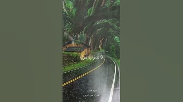 عمر الدريويز | سورة فصلت .