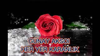 Günay Aksoi Her Yer Karanlik