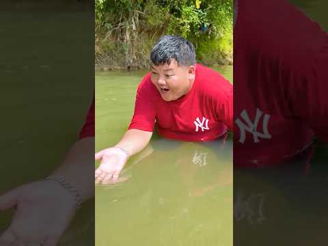 Kind Kid Frees The Fish Emotional Ending