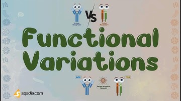 B-Cell Receptors vs T-Cell Receptors - Functional Variations