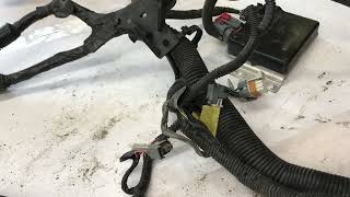 LS Factory Wiring Harness! You Can Do It!