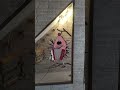 trem doido #funny #viral_video #trem #shortviral #shortvideo #shorts #shor #shirt