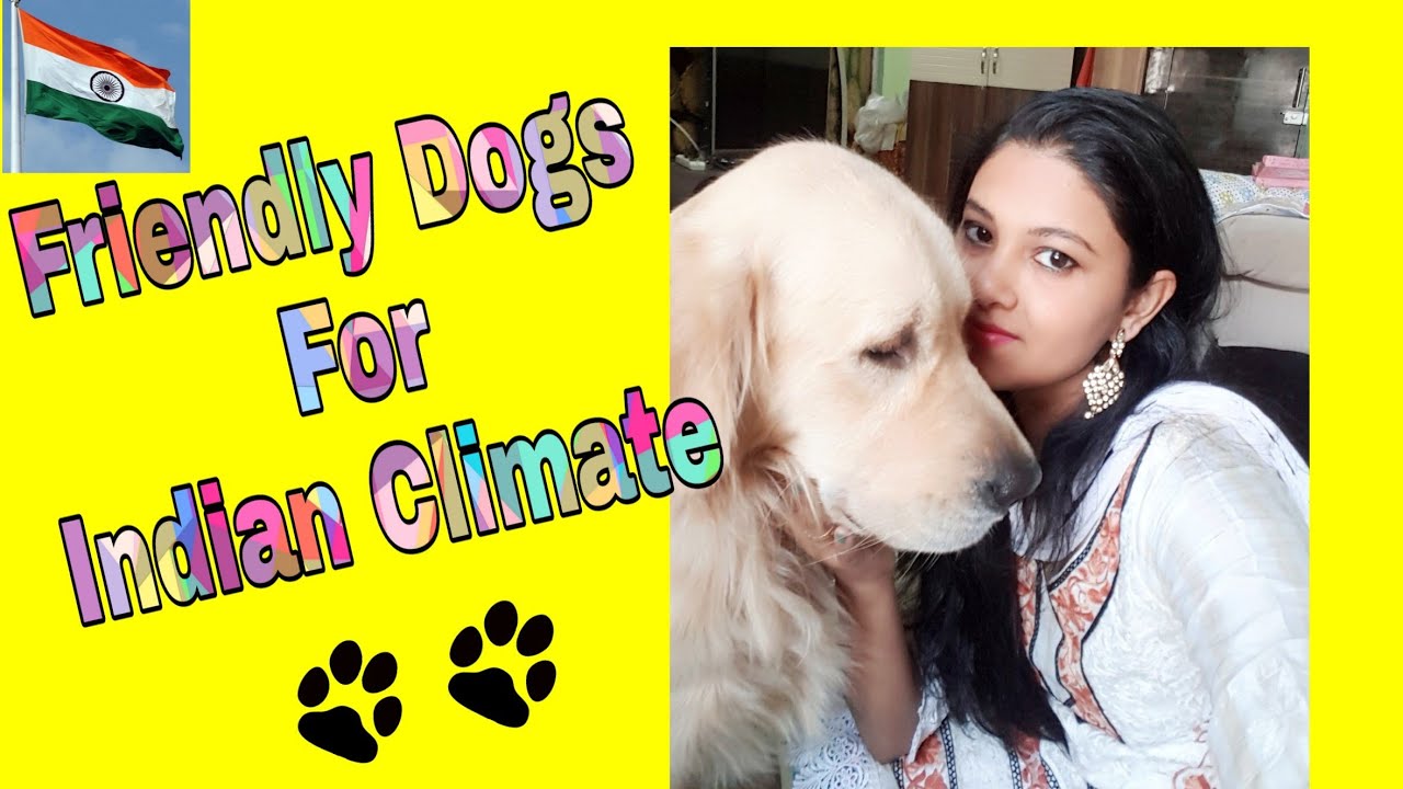 best dog breeds suitable for indian climate