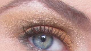 I sneeze when I tweeze my Eyebrows! Shaping Brows, Pain-free Brows, and RANDOM!