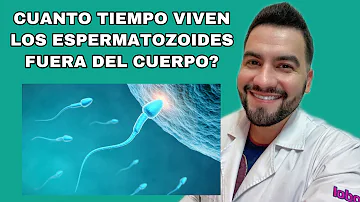 ¿Cuánto tiempo sobrevive el esperma en la ropa?