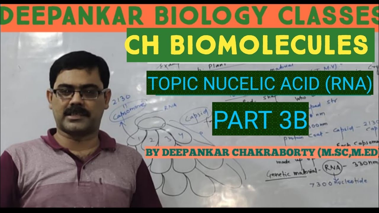 BIOMOLECULES|| NUCELIC ACID(RNA)|| PART 3 B